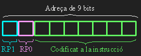 Adre&ccedil;ament directe